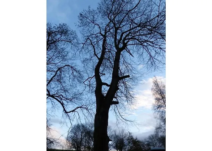 Дом отдыха Trailer In With Swimming Pool *